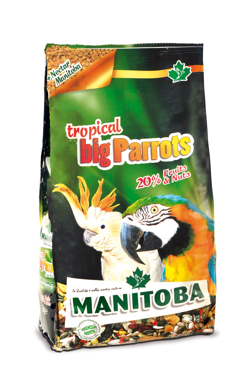 MANITOBA _ TROPICAL BIG PARROTS _ KG 2