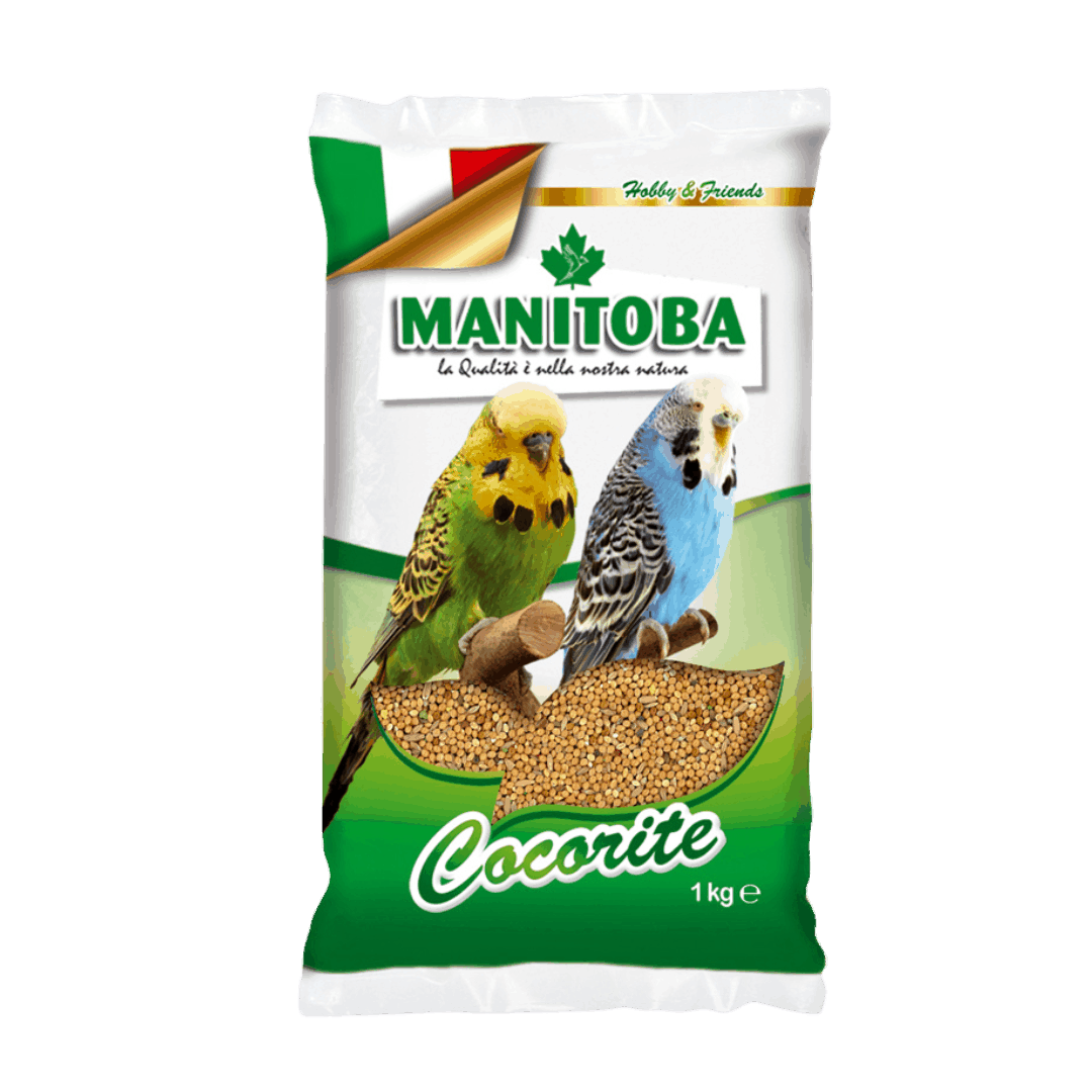 MANITOBA _ COCORITE _ KG 1