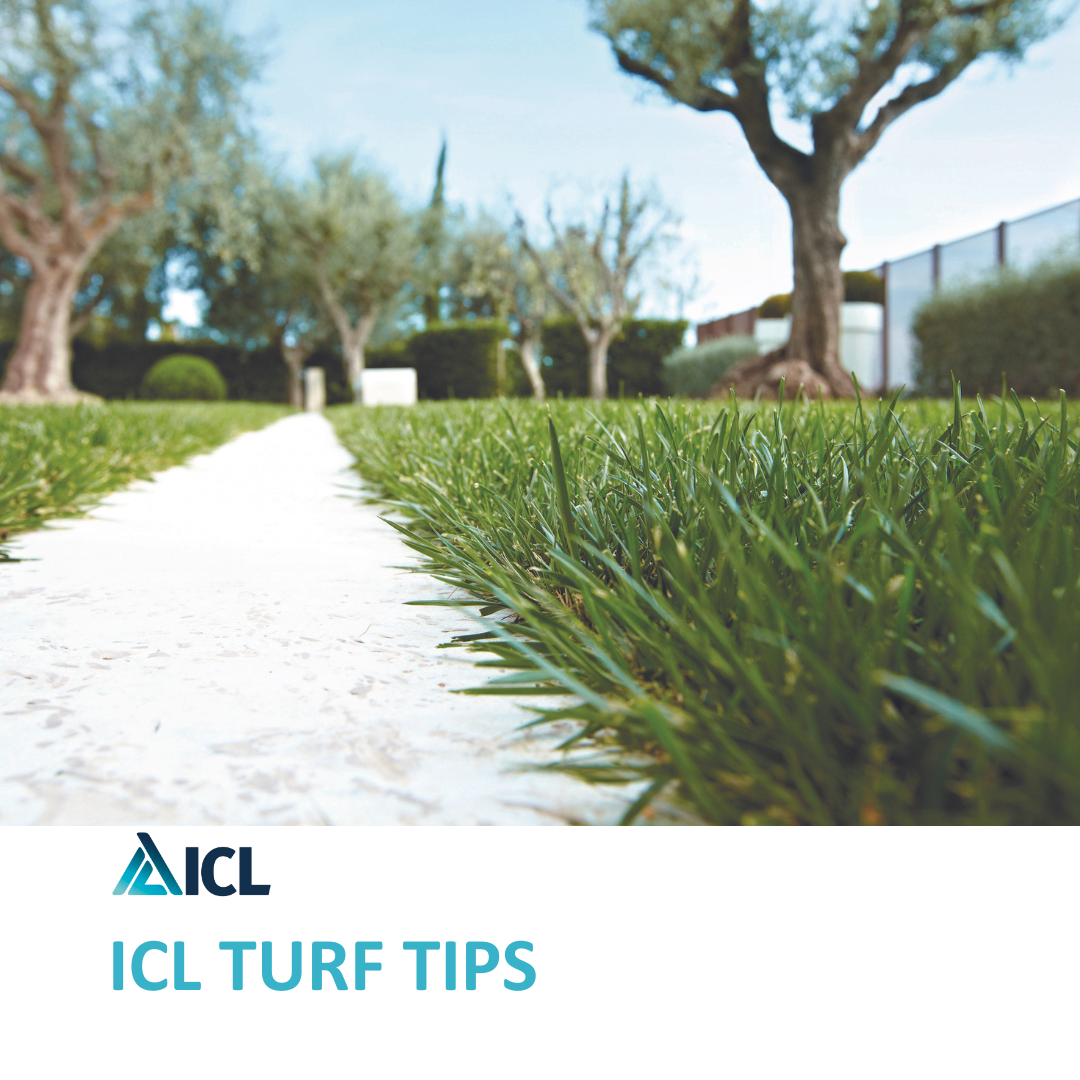 I CONSIGLI ICL PER UN PRATO AL TOP DOPO L'ESTATE - TURF TIPS DI SETTEMBRE