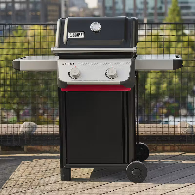 Barbecue a gas Spirit® E-210 WEBER