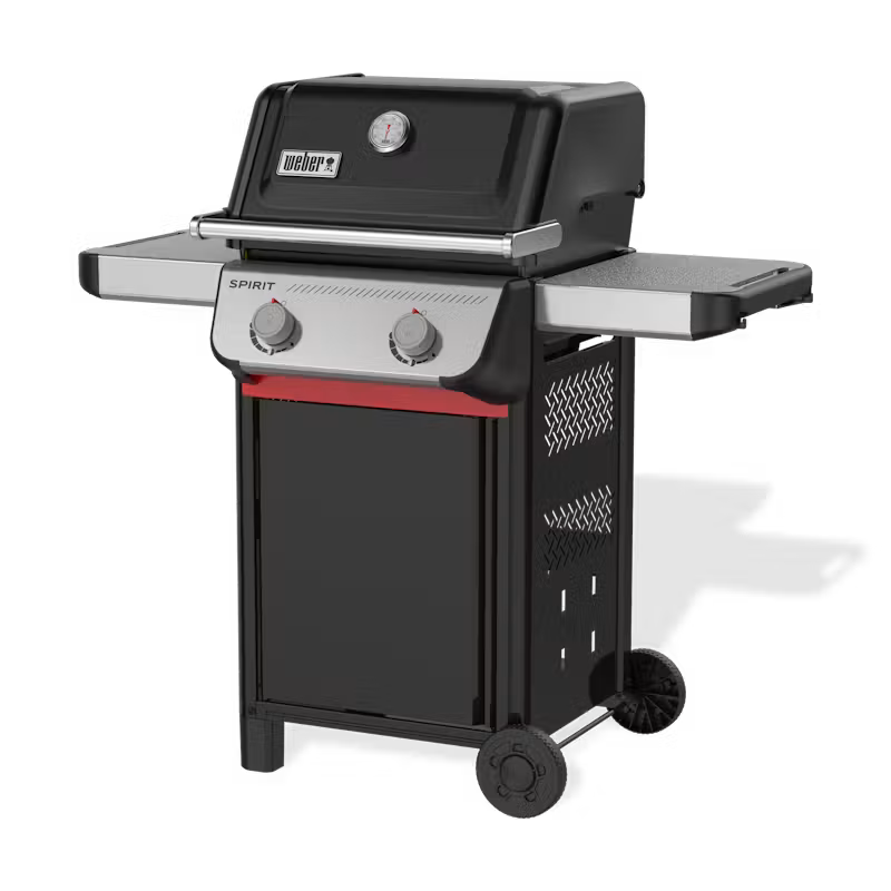 Barbecue a gas Spirit® E-210 WEBER
