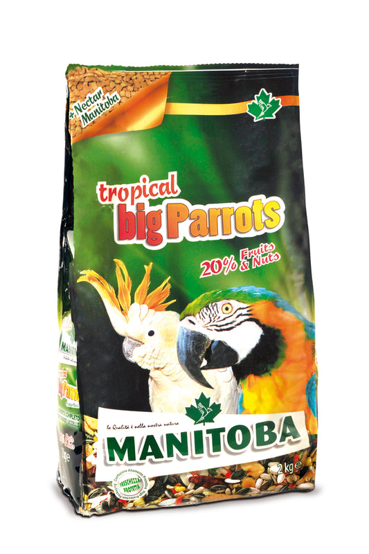 MANITOBA _ TROPICAL BIG PARROTS _ KG 2