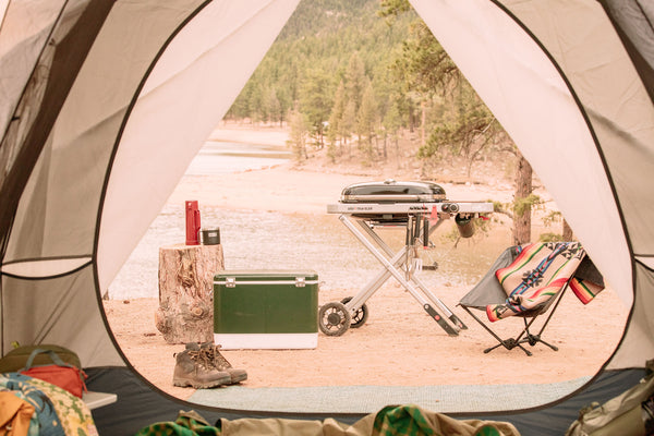 WEBER - TRAVELER BARBECUE A GAS