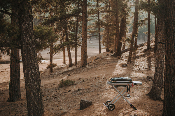 WEBER - TRAVELER BARBECUE A GAS