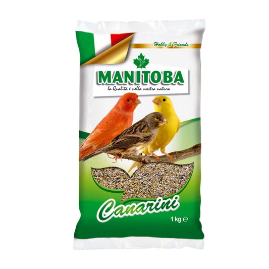 MANITOBA _ MANGIME CANARINI _ KG 20