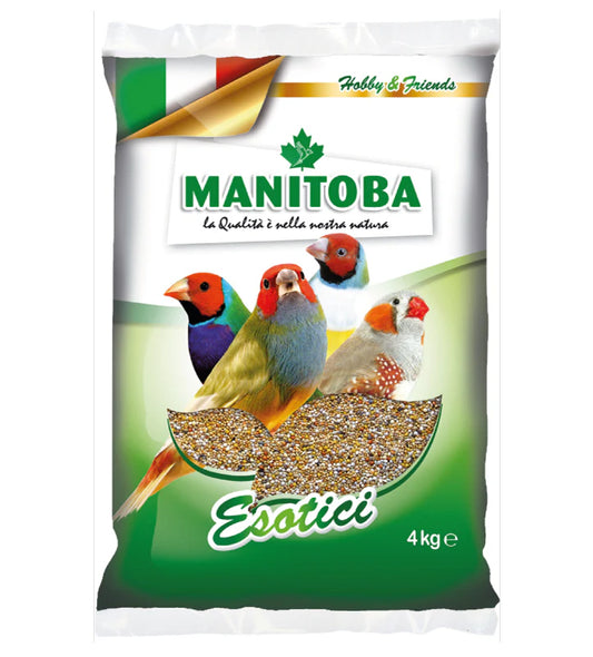 MANITOBA _ MANGIME ESOTICI _ KG 4