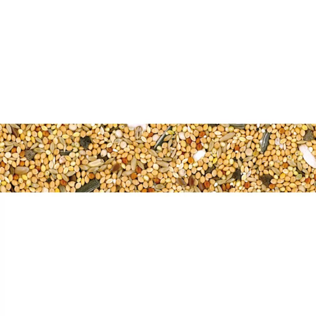 MANITOBA _ MANGIME PARROCCHETTI _ KG 20