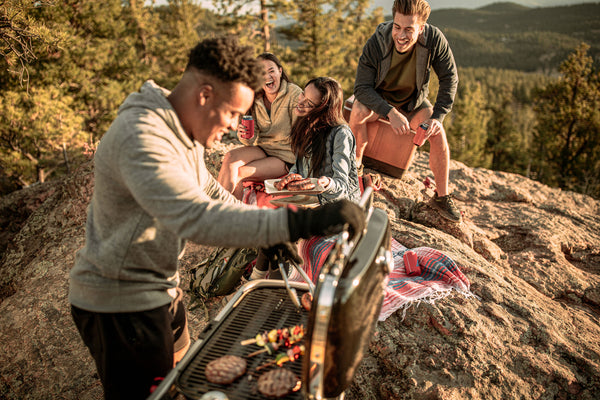 WEBER - TRAVELER BARBECUE A GAS