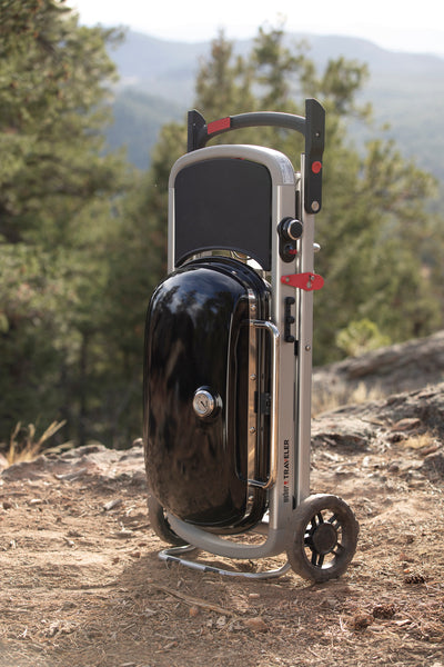 WEBER - TRAVELER BARBECUE A GAS