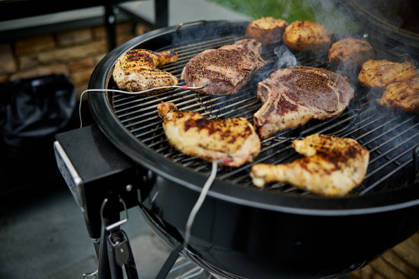 WEBER - BARBECUE A CARBONE SUMMIT KAMADO E6